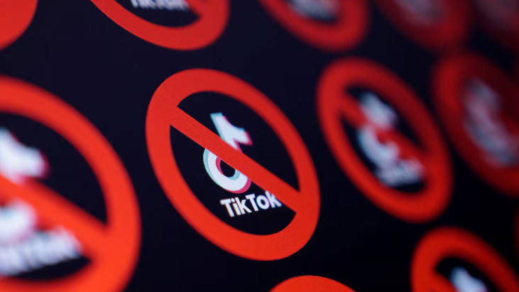 The People’s Bid TikTok con Alexis Ohanian